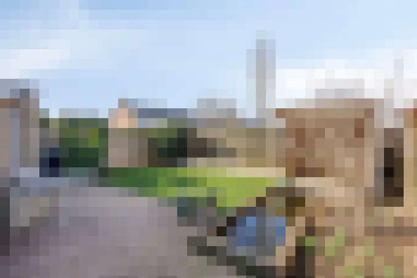 Thorbeckestraat 64 Zaltbommel thumbnail 31