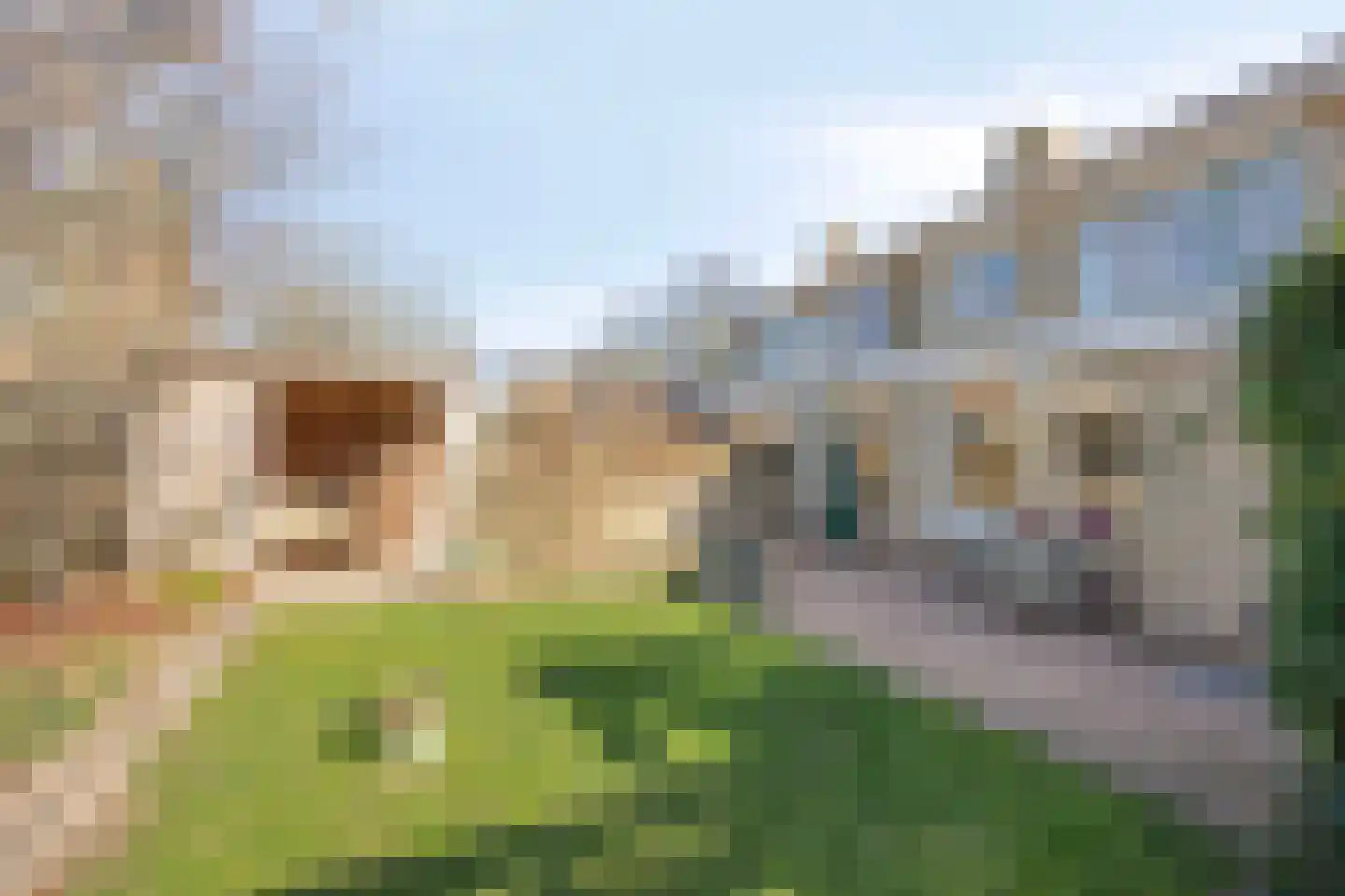 Thorbeckestraat 64 Zaltbommel thumbnail 32