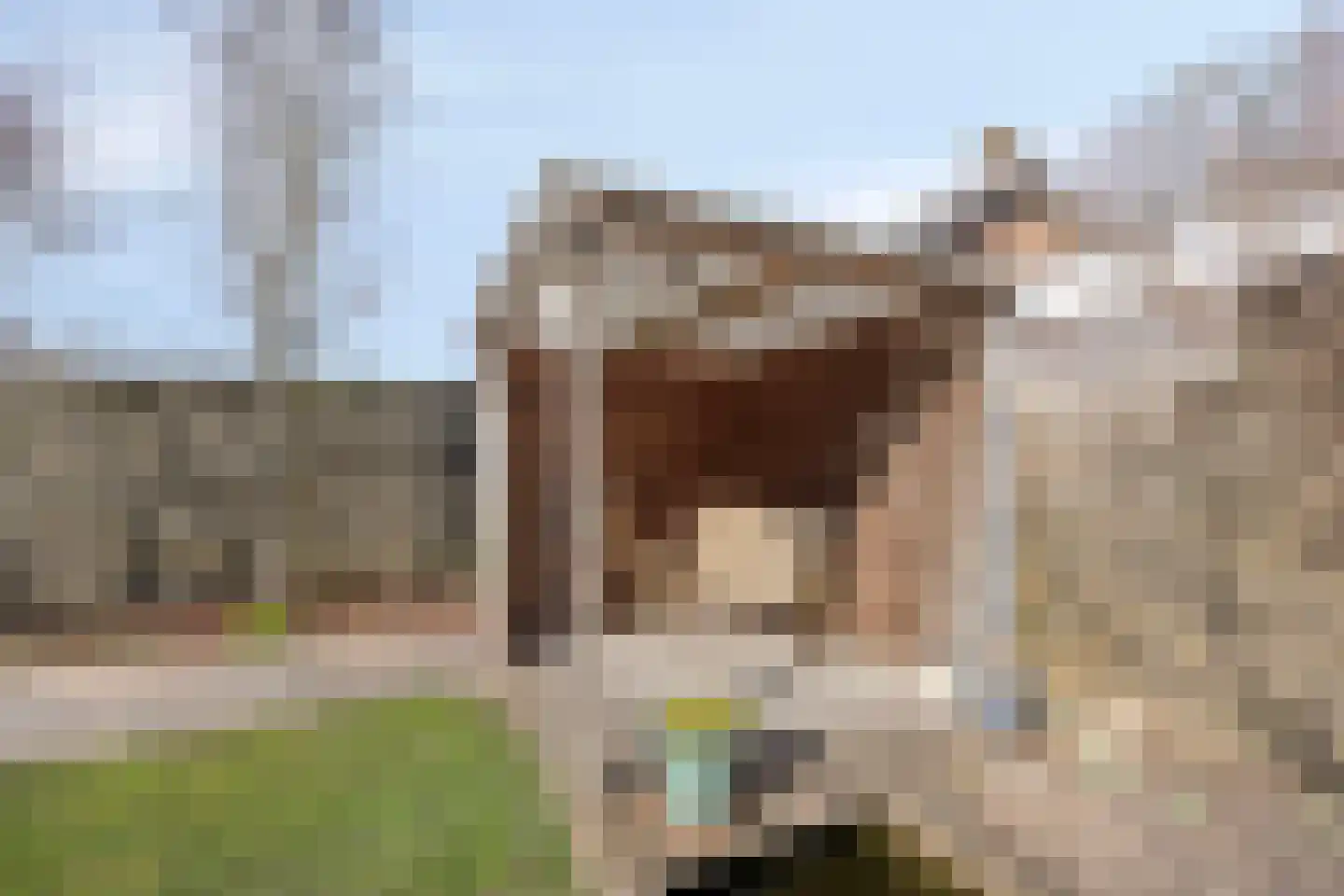 Thorbeckestraat 64 Zaltbommel thumbnail 33