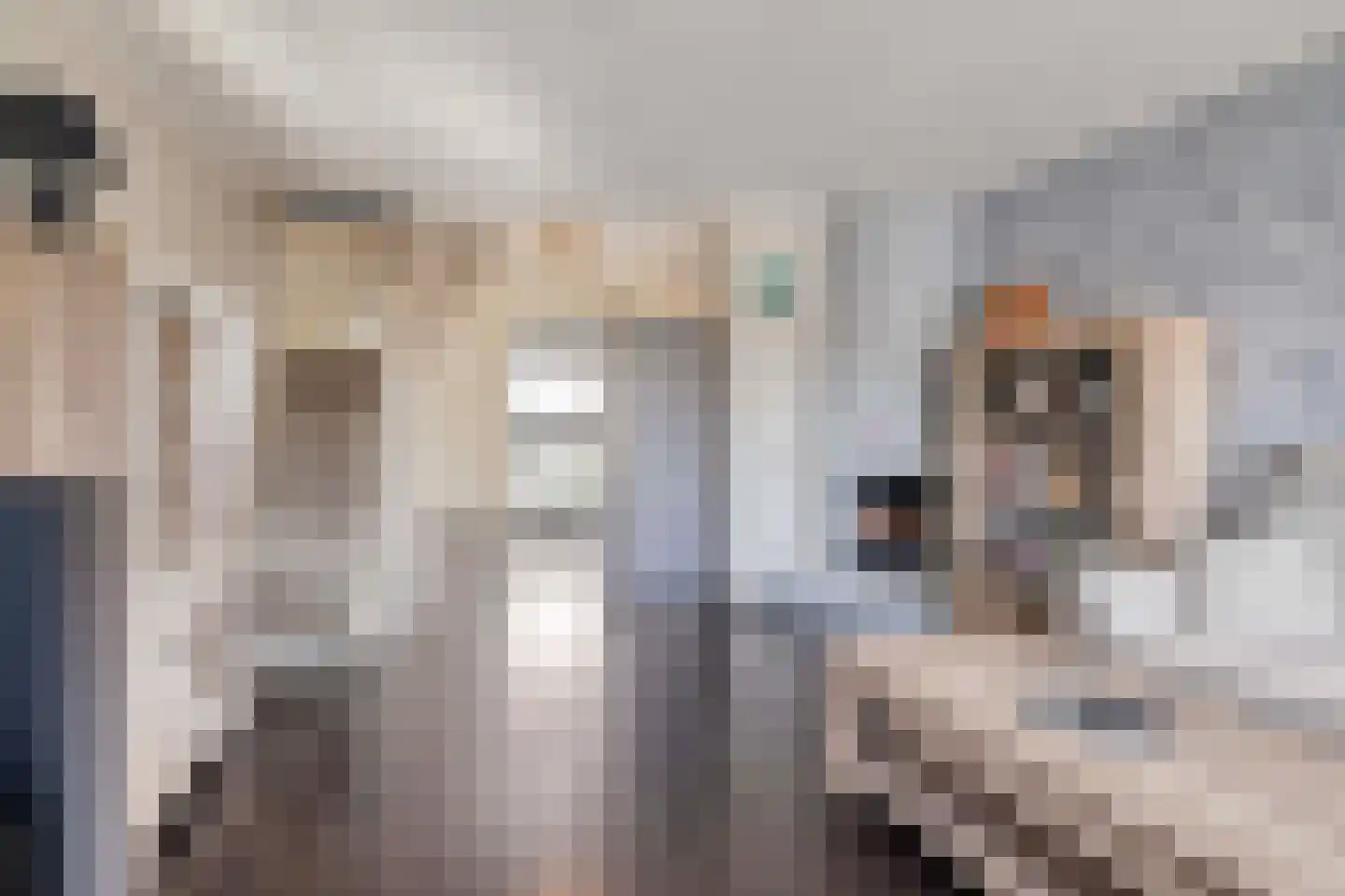 Thorbeckestraat 66 Katwijk thumbnail 4
