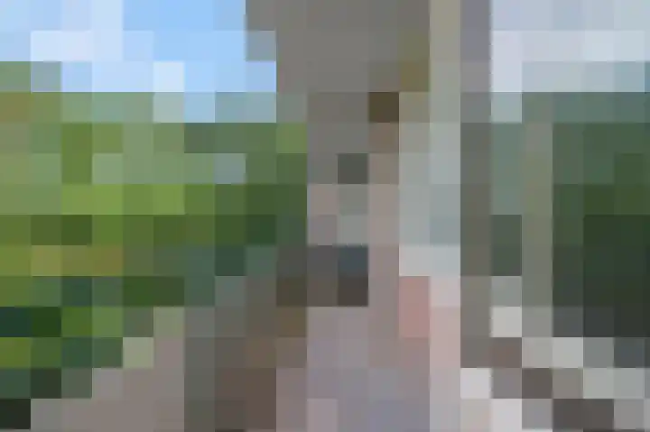 Thorbeckestraat 66 Wageningen thumbnail 15