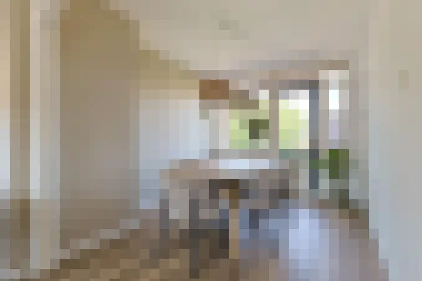 Thorbeckestraat 7 Alphen aan den Rijn thumbnail 15