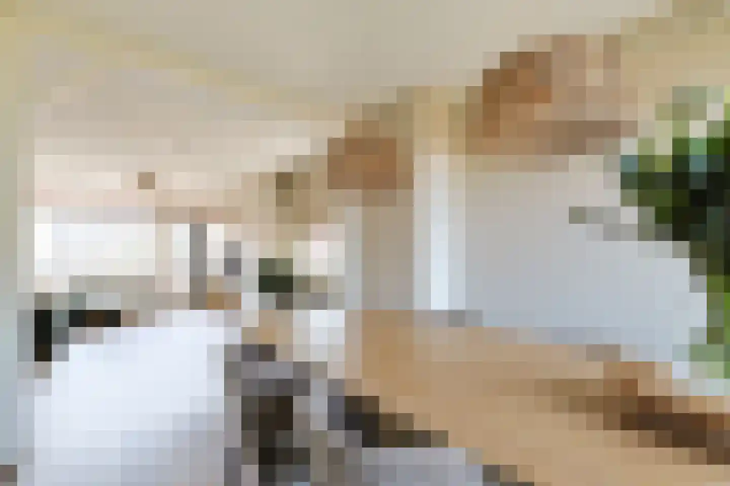 Thorbeckestraat 7 Alphen aan den Rijn thumbnail 19