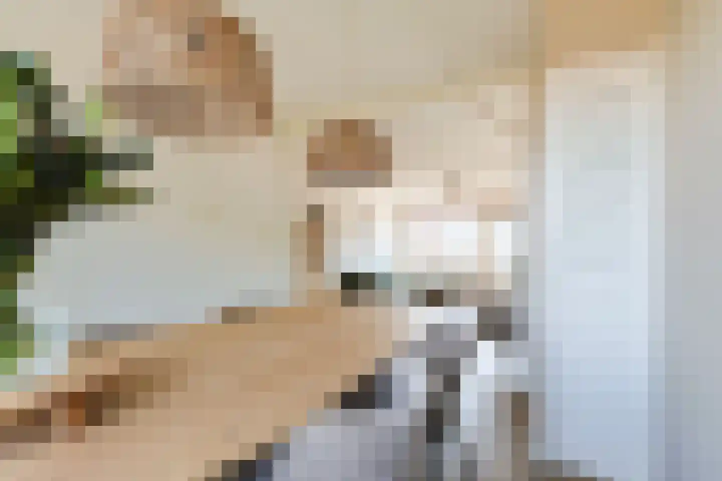 Thorbeckestraat 7 Alphen aan den Rijn thumbnail 20