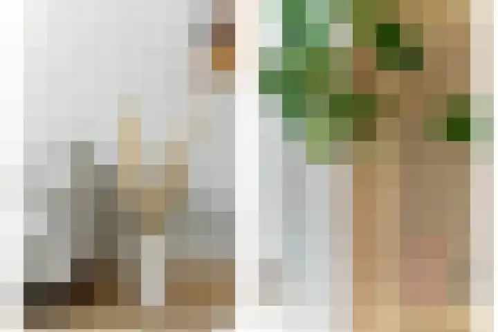 Thorbeckestraat 7 Hendrik-Ido-Ambacht thumbnail 6