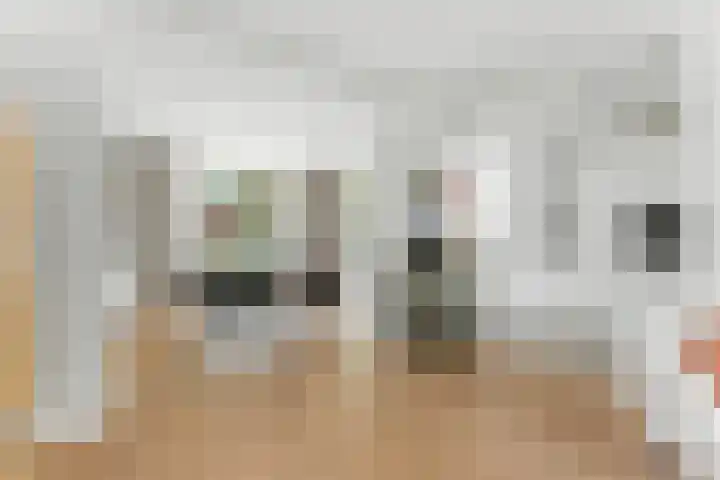 Thorbeckestraat 7 Hendrik-Ido-Ambacht thumbnail 8