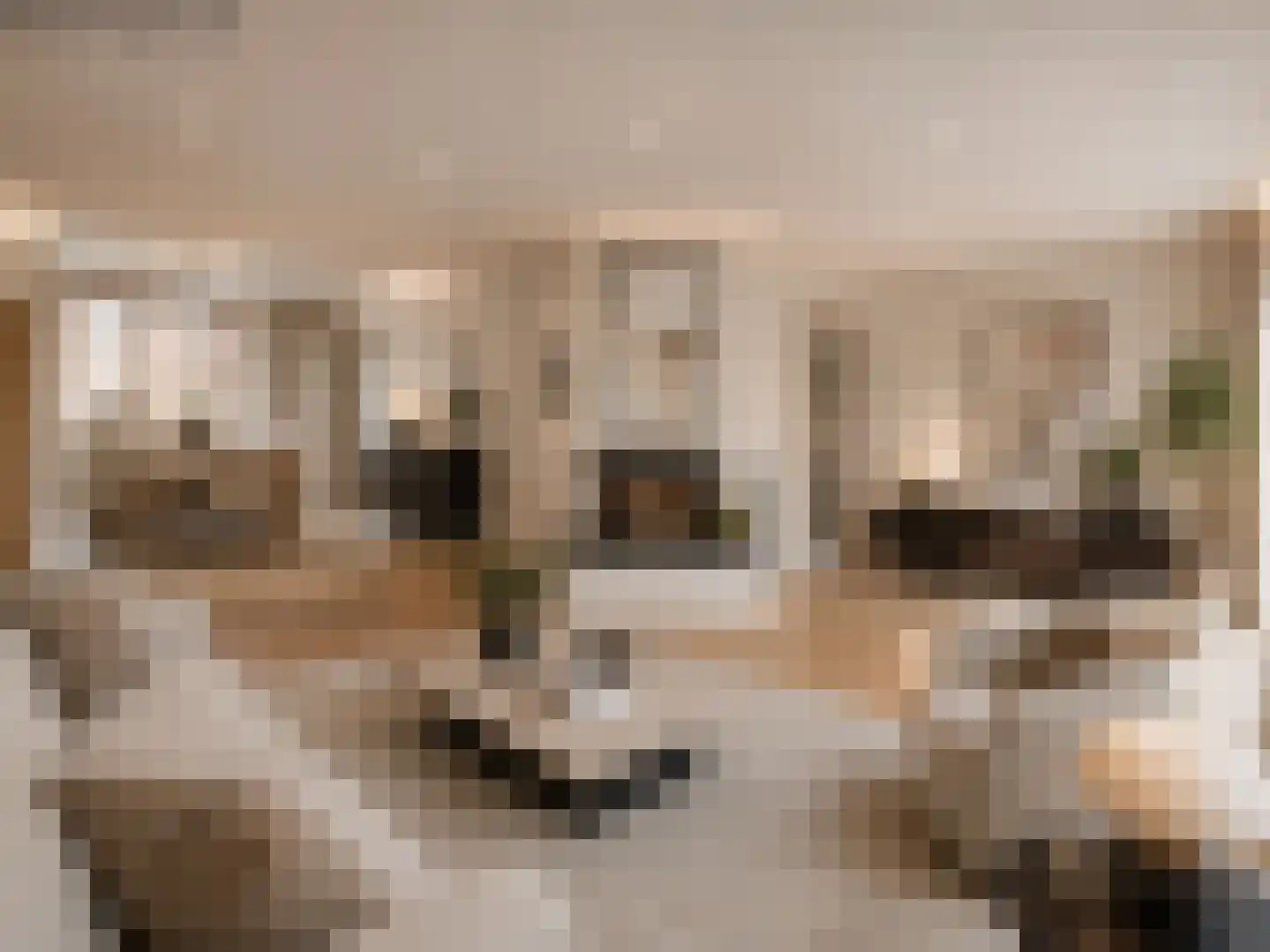 Thorbeckestraat 7 Sittard thumbnail 11