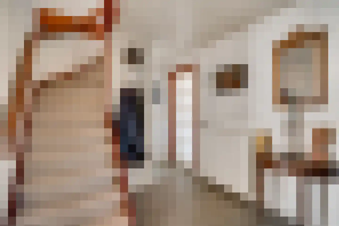 Thorbeckestraat 7 Sittard thumbnail 15