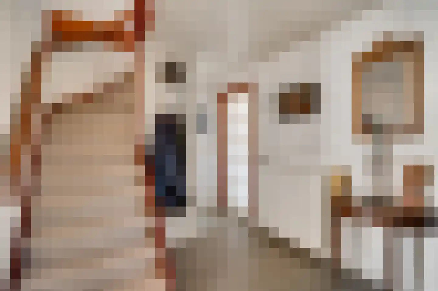 Thorbeckestraat 7 Sittard thumbnail 16