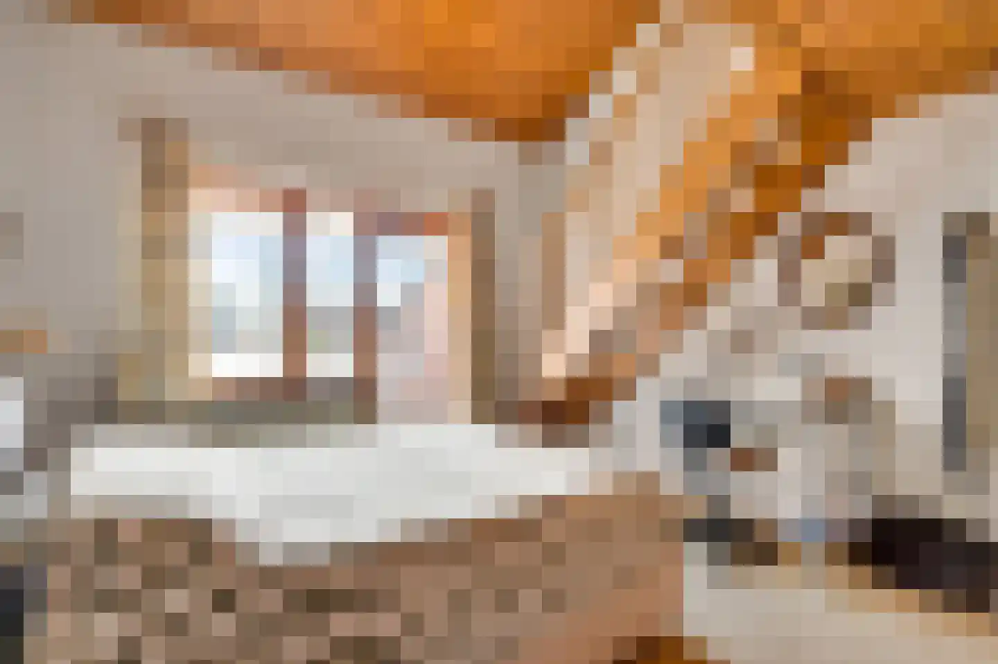 Thorbeckestraat 7 Sittard thumbnail 23