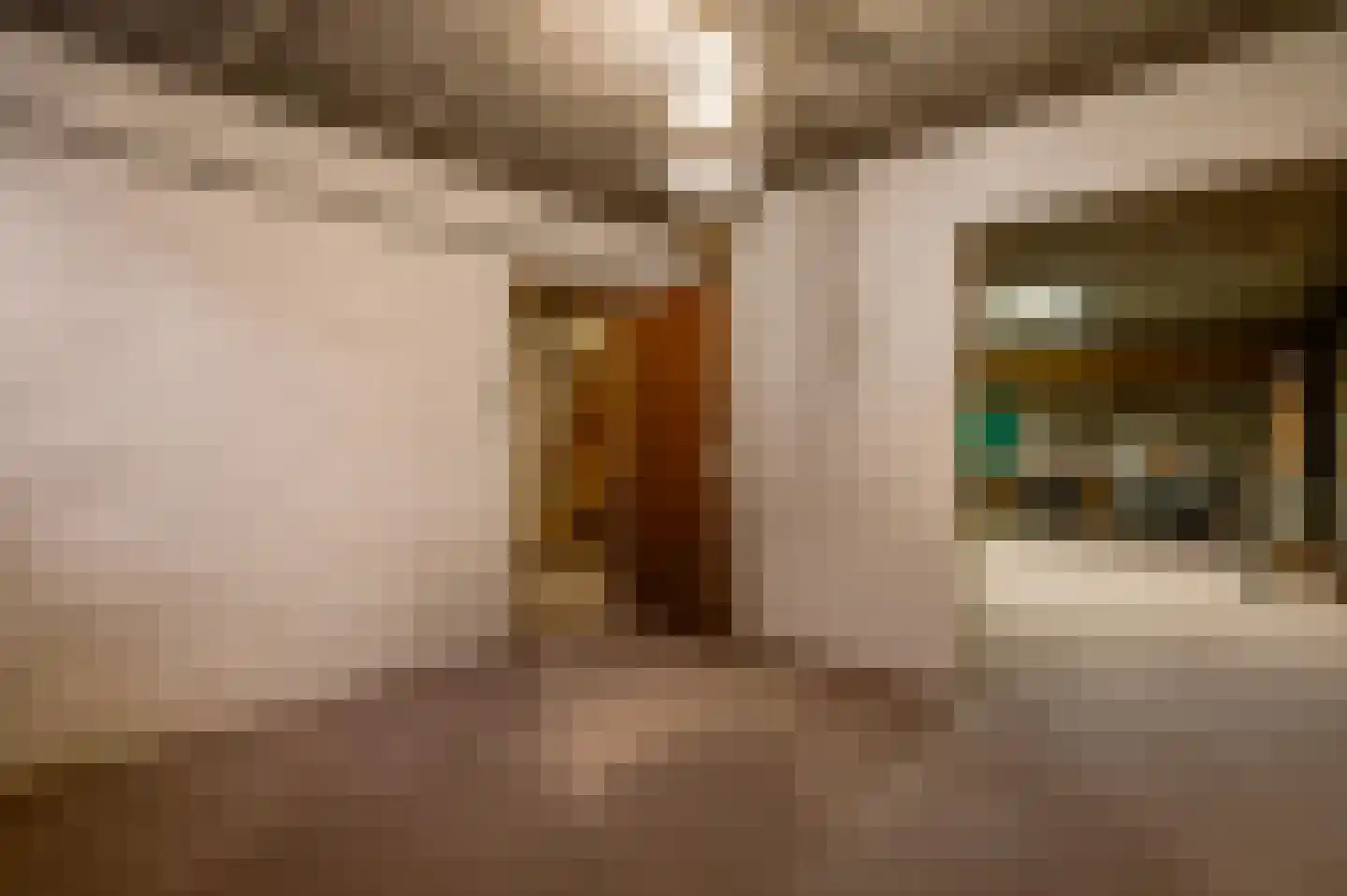 Thorbeckestraat 7 Sittard thumbnail 28