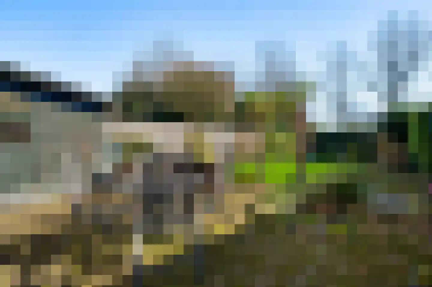 Thorbeckestraat 7 Sittard thumbnail 30
