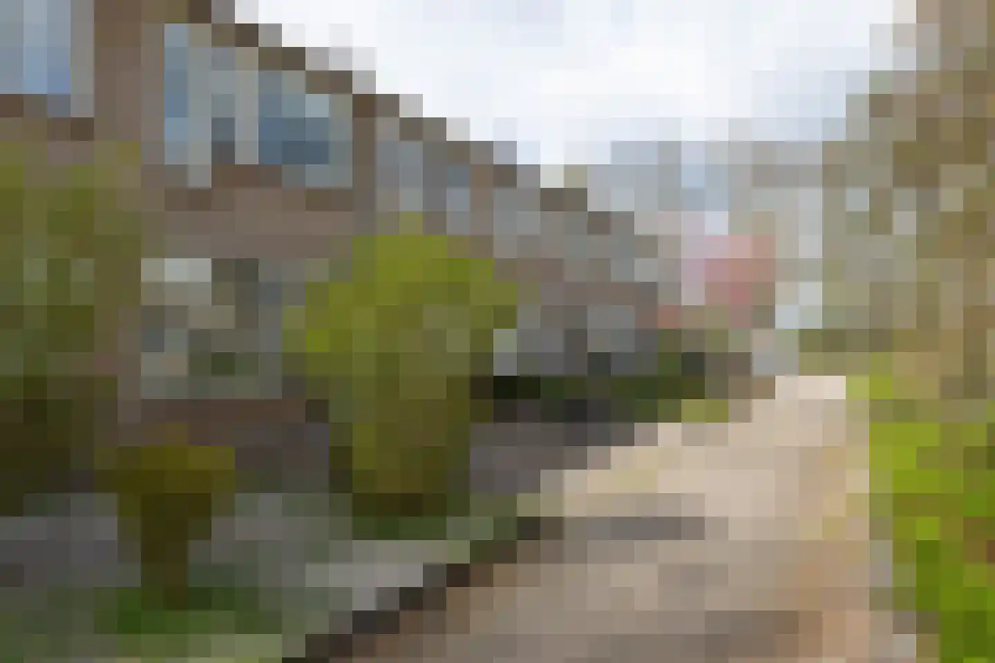 Thorbeckestraat 71 Groenlo thumbnail 29