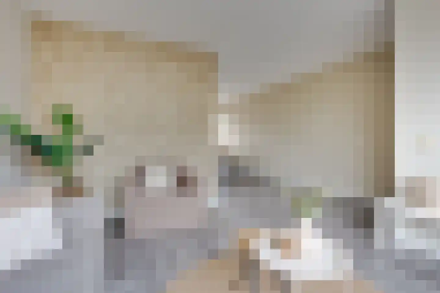 Thorbeckestraat 71 Groenlo thumbnail 7