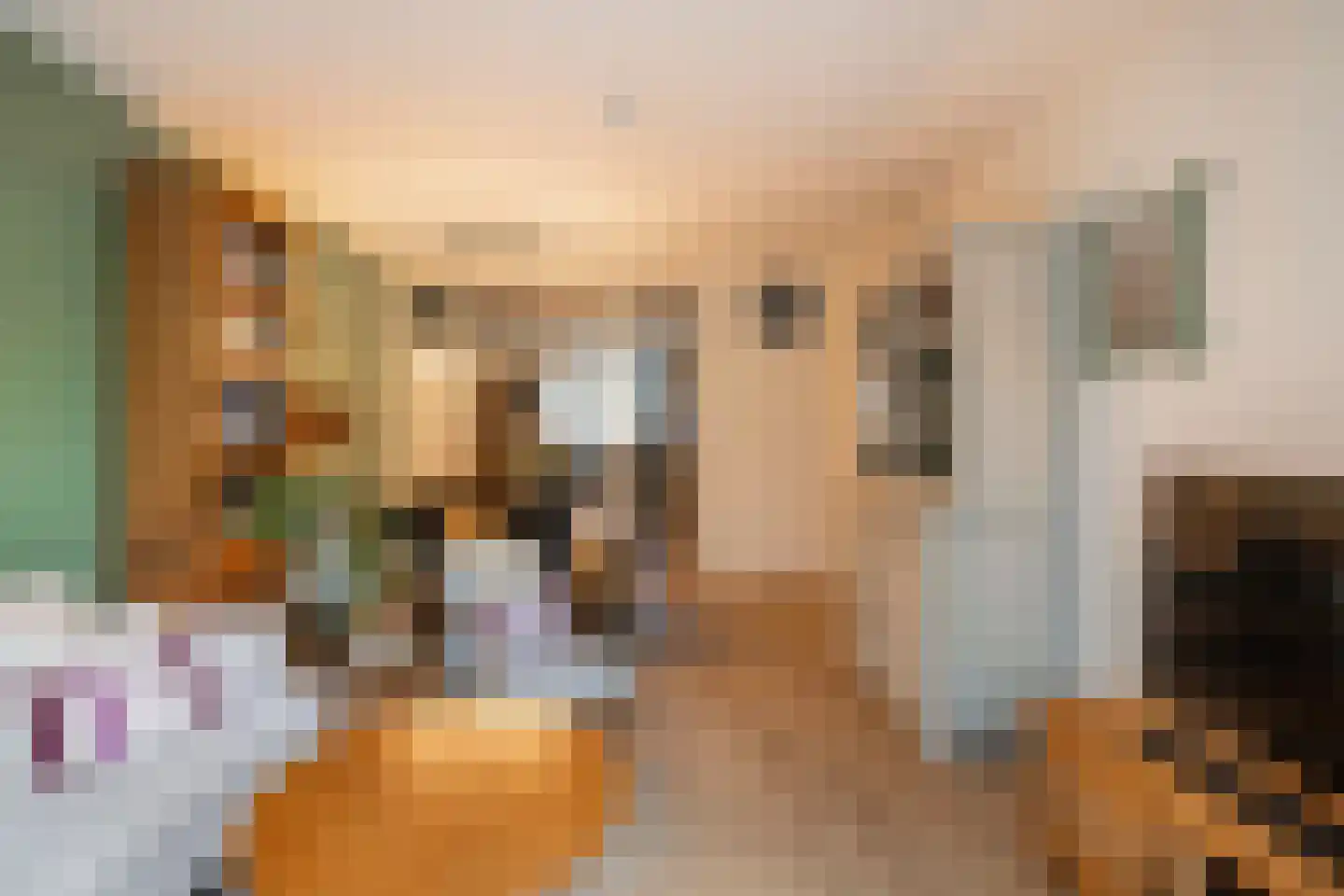 Thorbeckestraat 72 Wageningen thumbnail 10