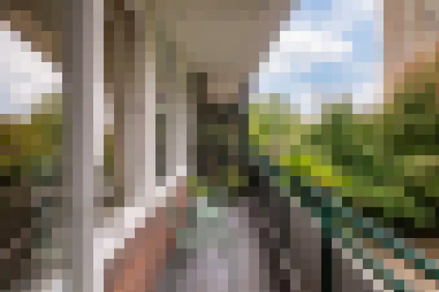 Thorbeckestraat 72 Wageningen thumbnail 21