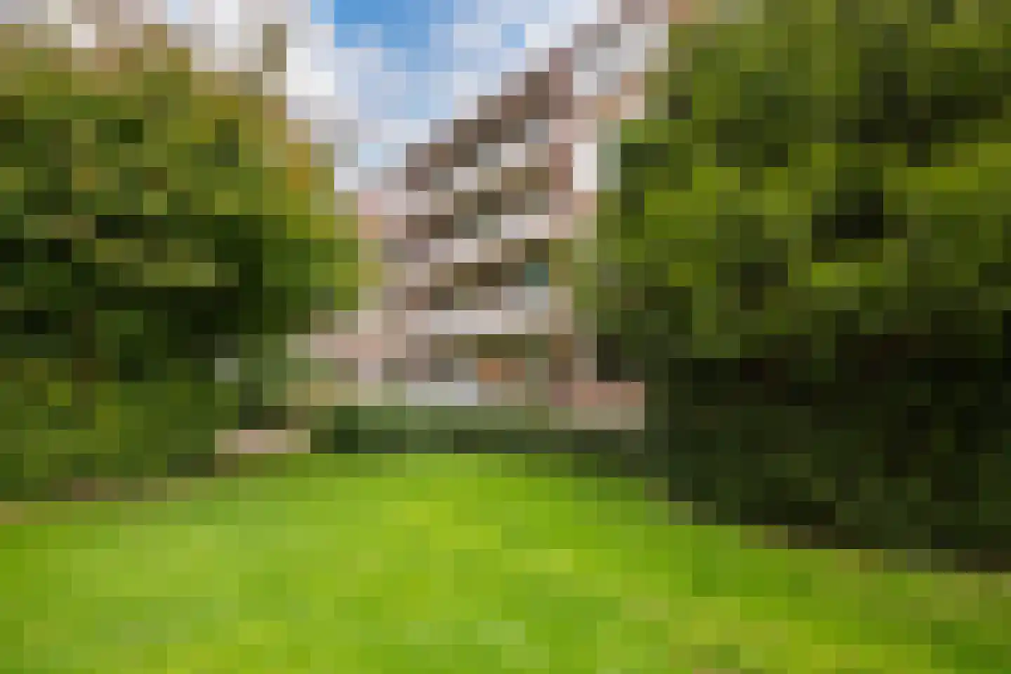 Thorbeckestraat 72 Wageningen thumbnail 28