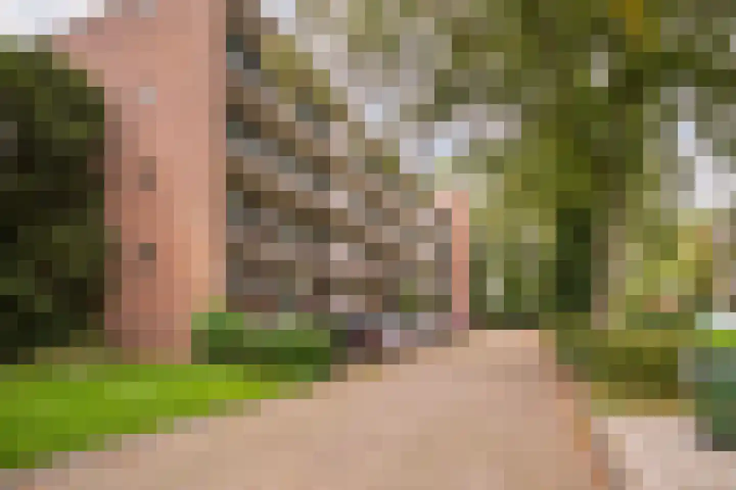 Thorbeckestraat 72 Wageningen thumbnail 31