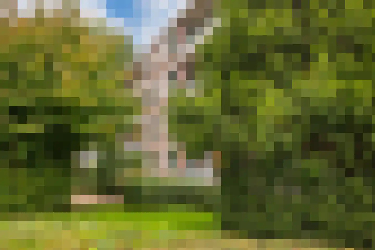 Thorbeckestraat 72 Wageningen thumbnail 33