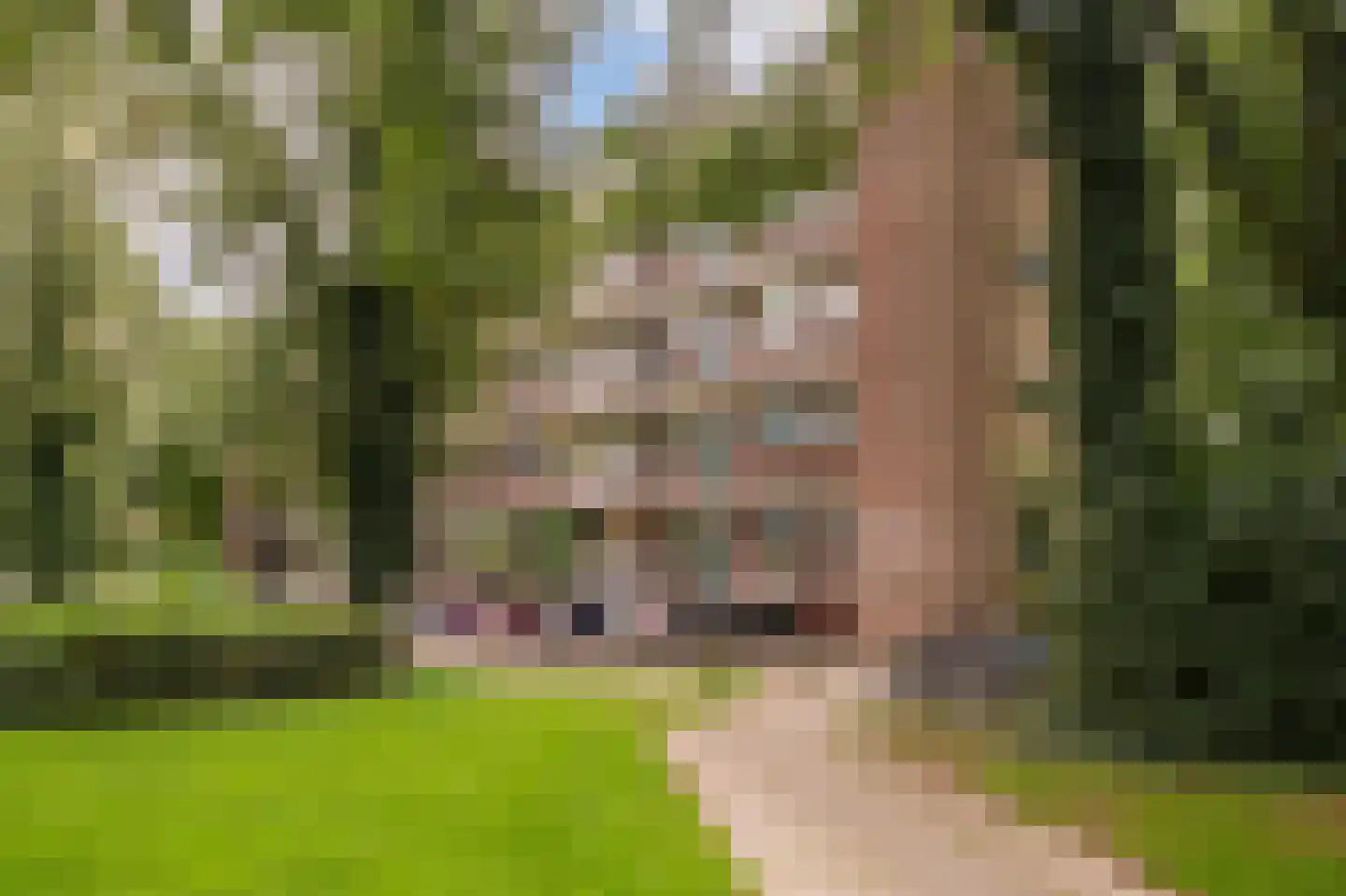 Thorbeckestraat 72 Wageningen thumbnail 34