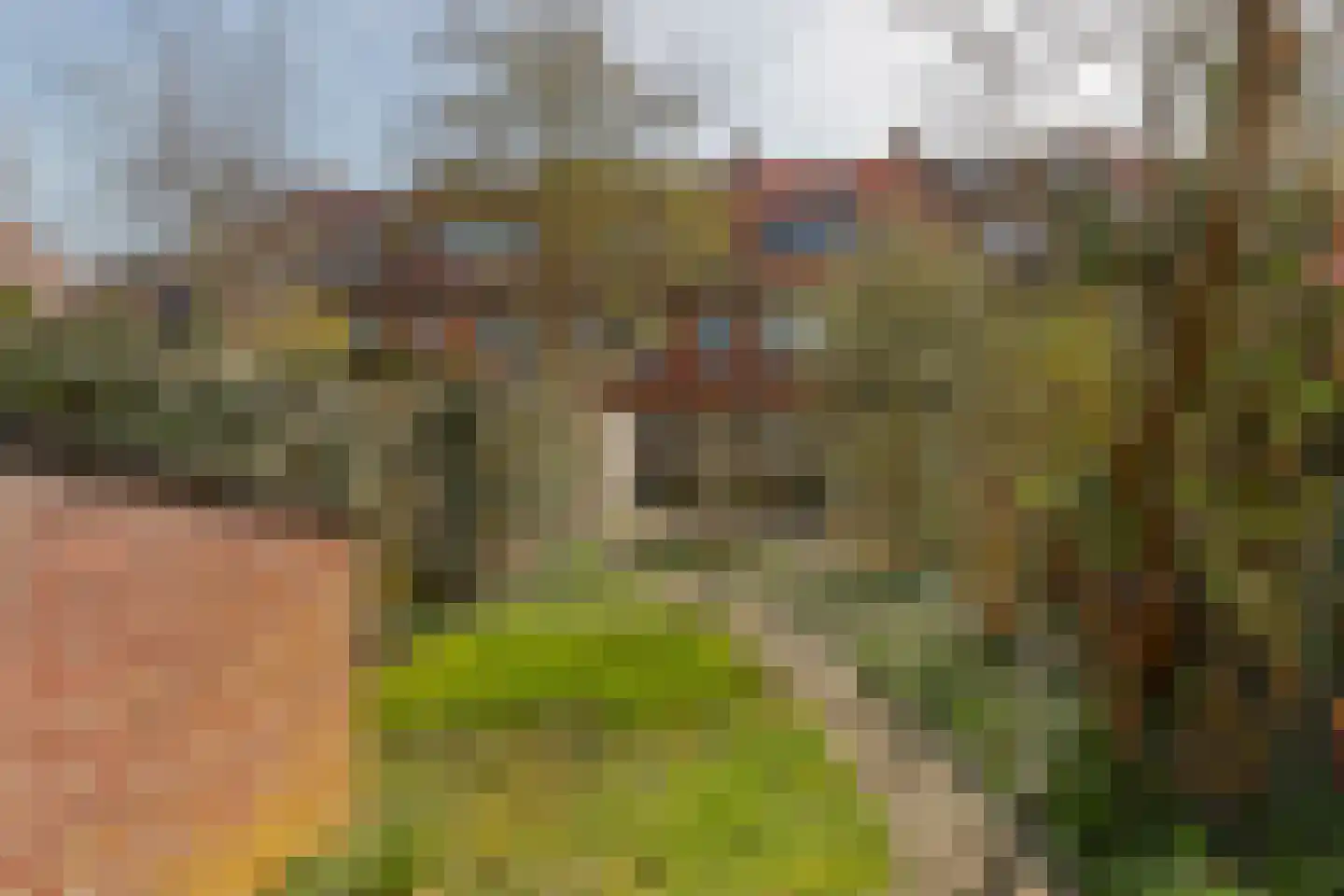 Thorbeckestraat 74 Leiden thumbnail 13
