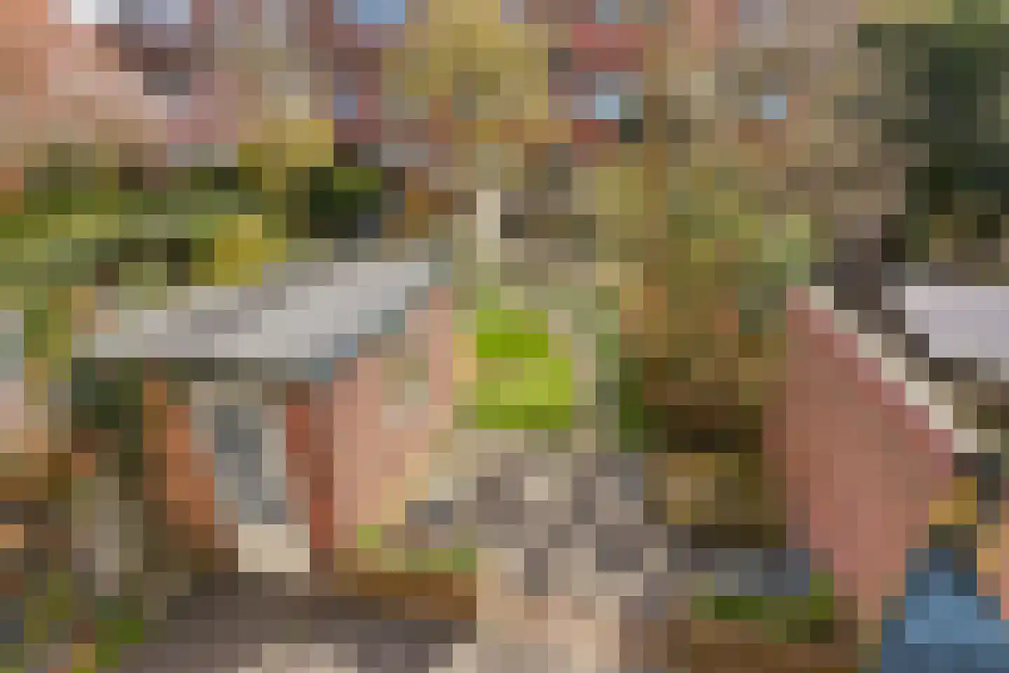 Thorbeckestraat 74 Leiden thumbnail 28