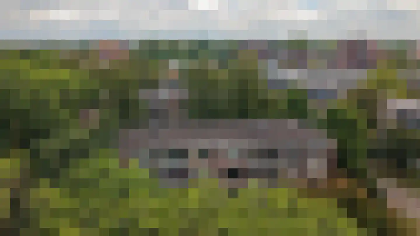Thorbeckestraat 78 Wageningen thumbnail 34