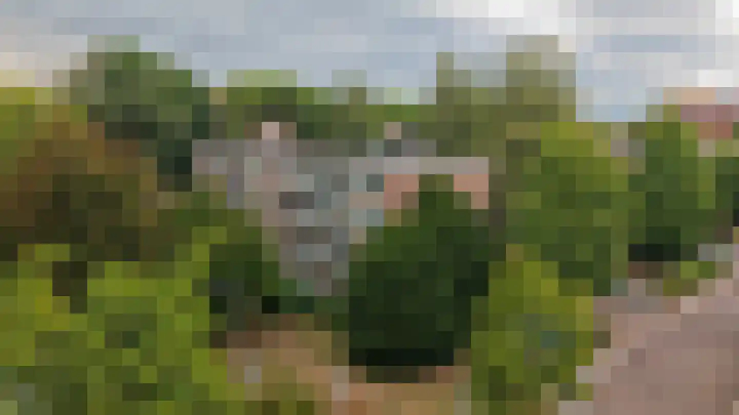 Thorbeckestraat 78 Wageningen thumbnail 35