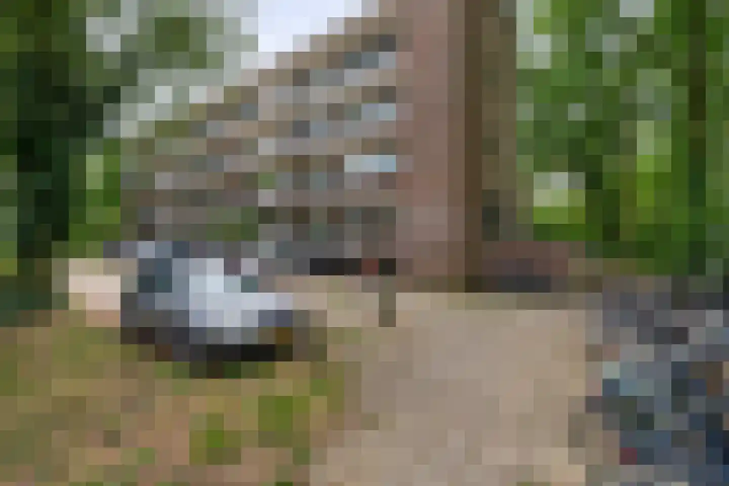 Thorbeckestraat 78 Wageningen thumbnail 4