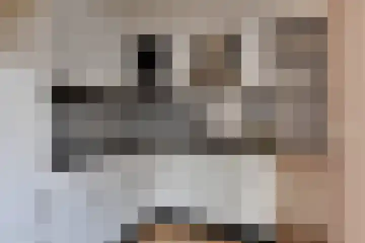 Thorbeckestraat 8 Groenlo thumbnail 11