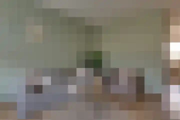 Thorbeckestraat 8 Groenlo thumbnail 7