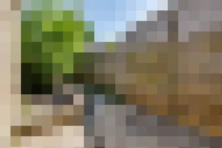 Thorbeckestraat 83 Groenlo thumbnail 32