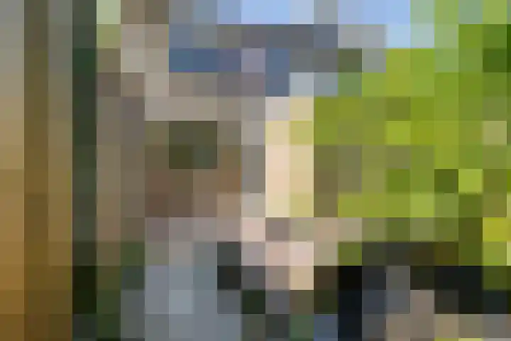 Thorbeckestraat 83 Groenlo thumbnail 34