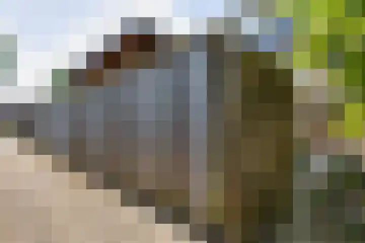 Thorbeckestraat 83 Groenlo thumbnail 35