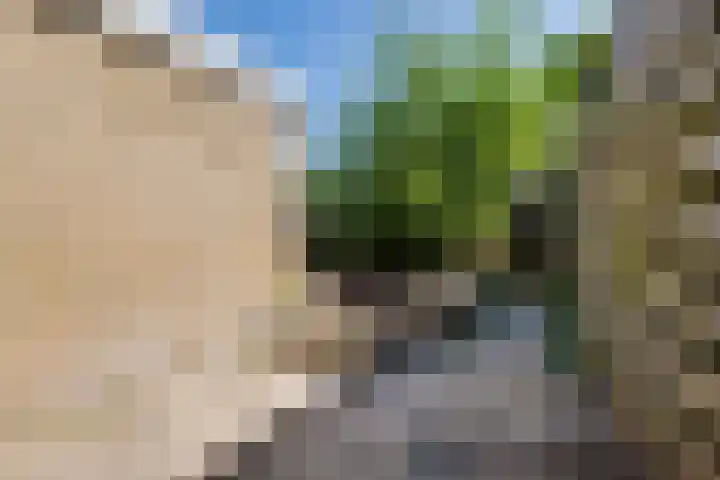 Thorbeckestraat 83 Groenlo thumbnail 4