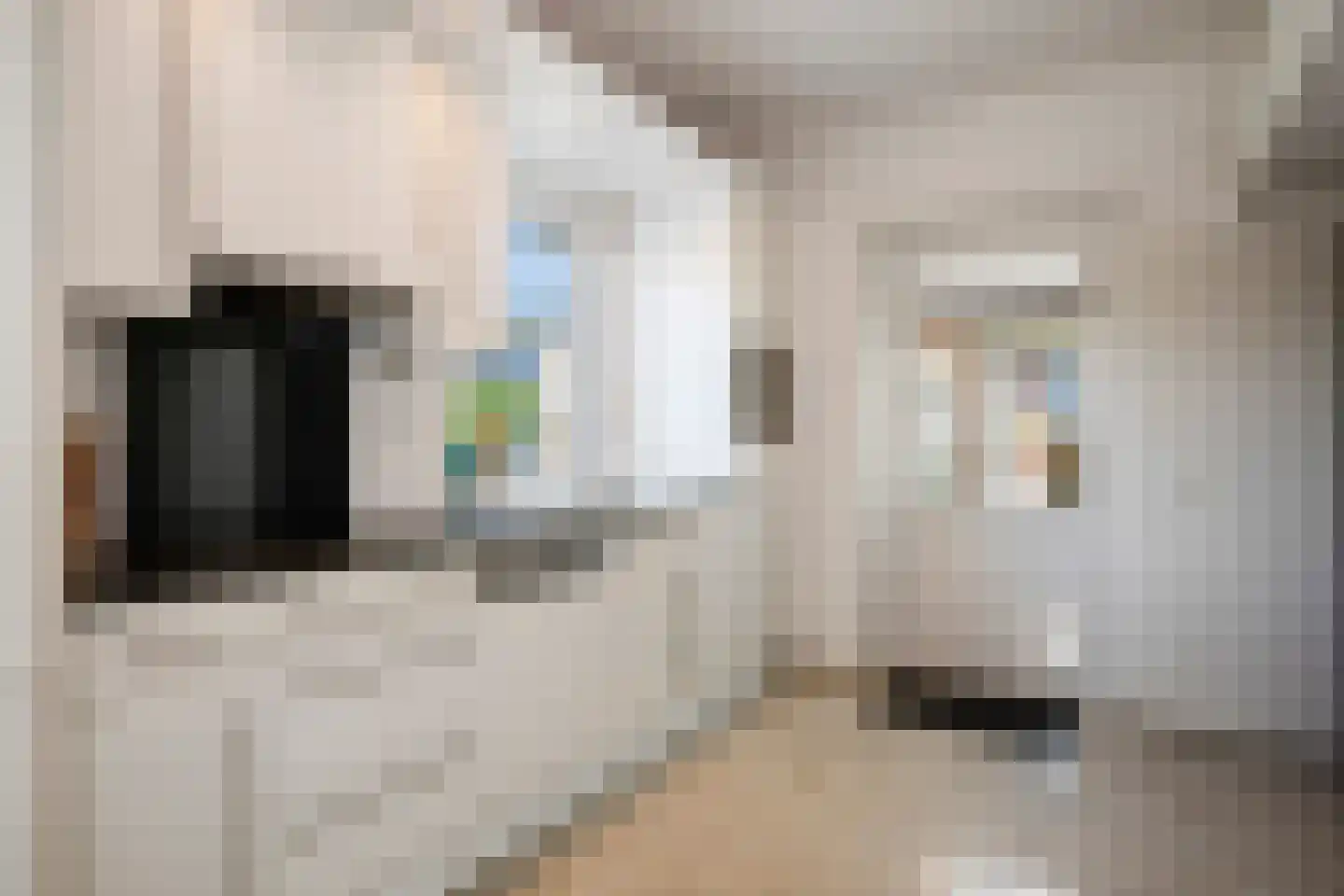Thorbeckestraat 9 Grevenbicht thumbnail 18