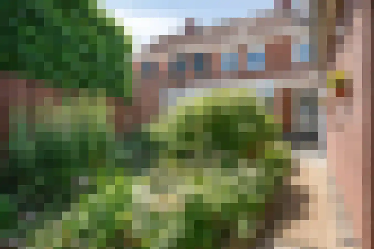 Thorbeckestraat 9 Grevenbicht thumbnail 24