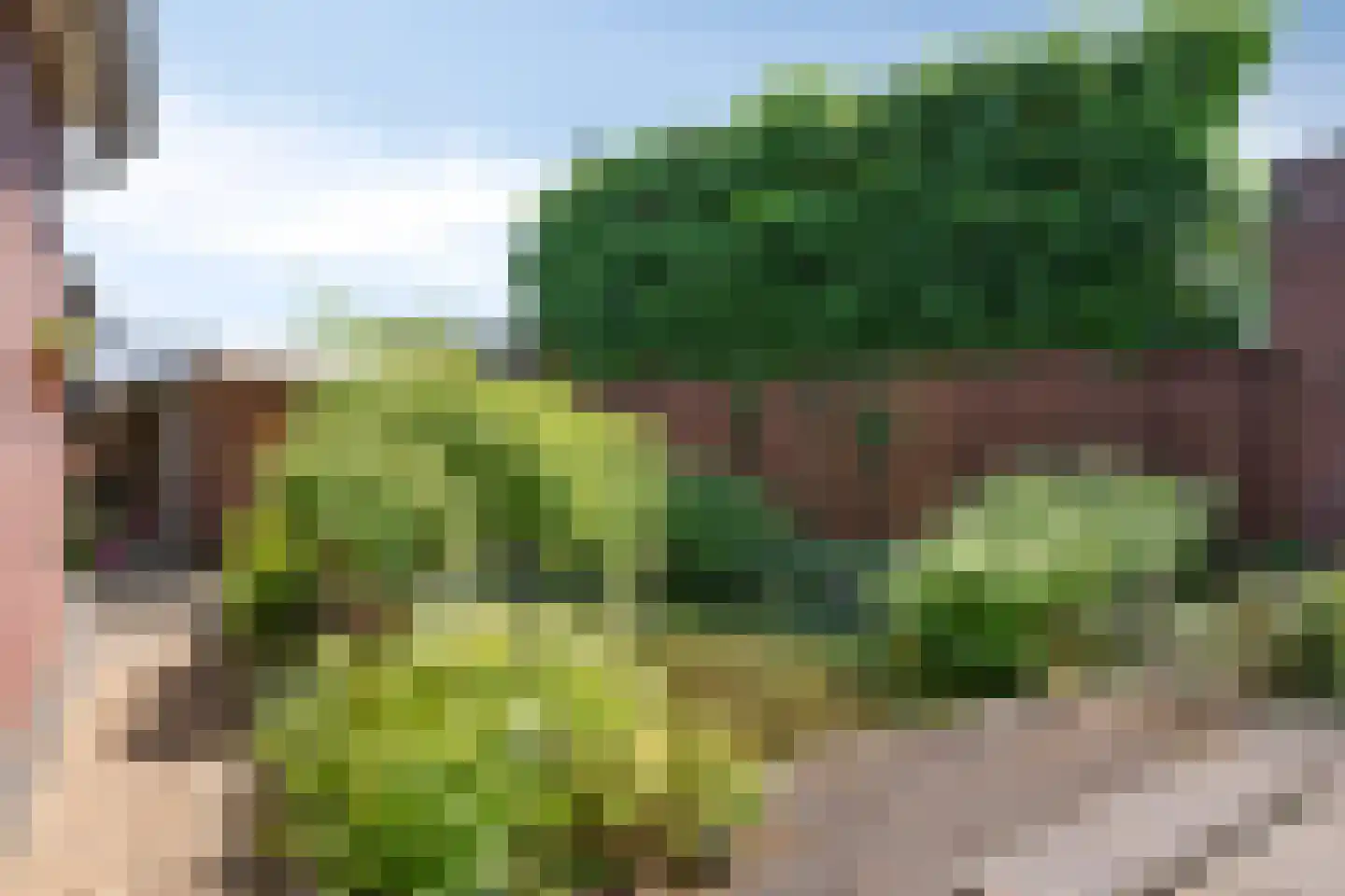 Thorbeckestraat 9 Grevenbicht thumbnail 25