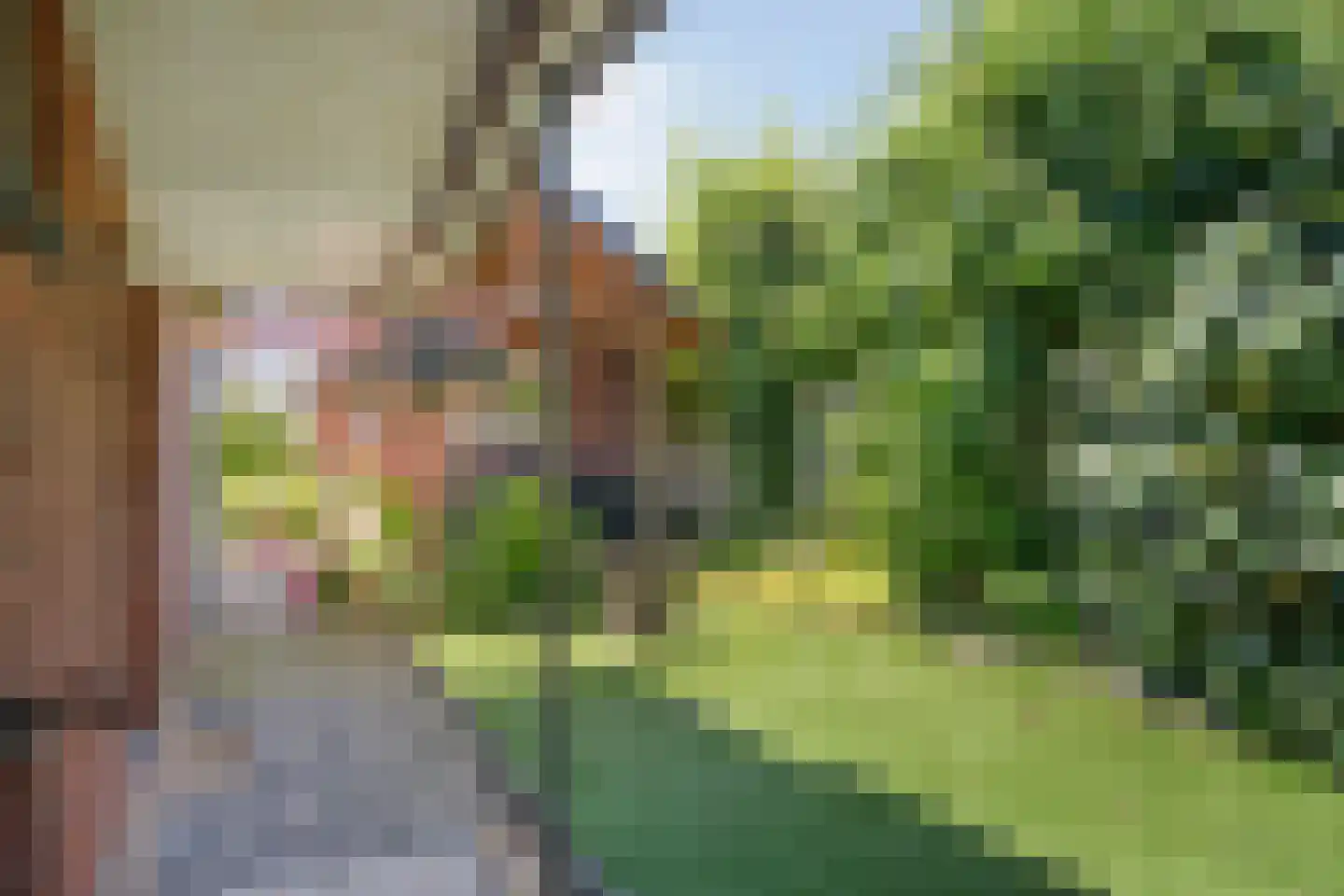 Thorbeckestraat 9 Grevenbicht thumbnail 26