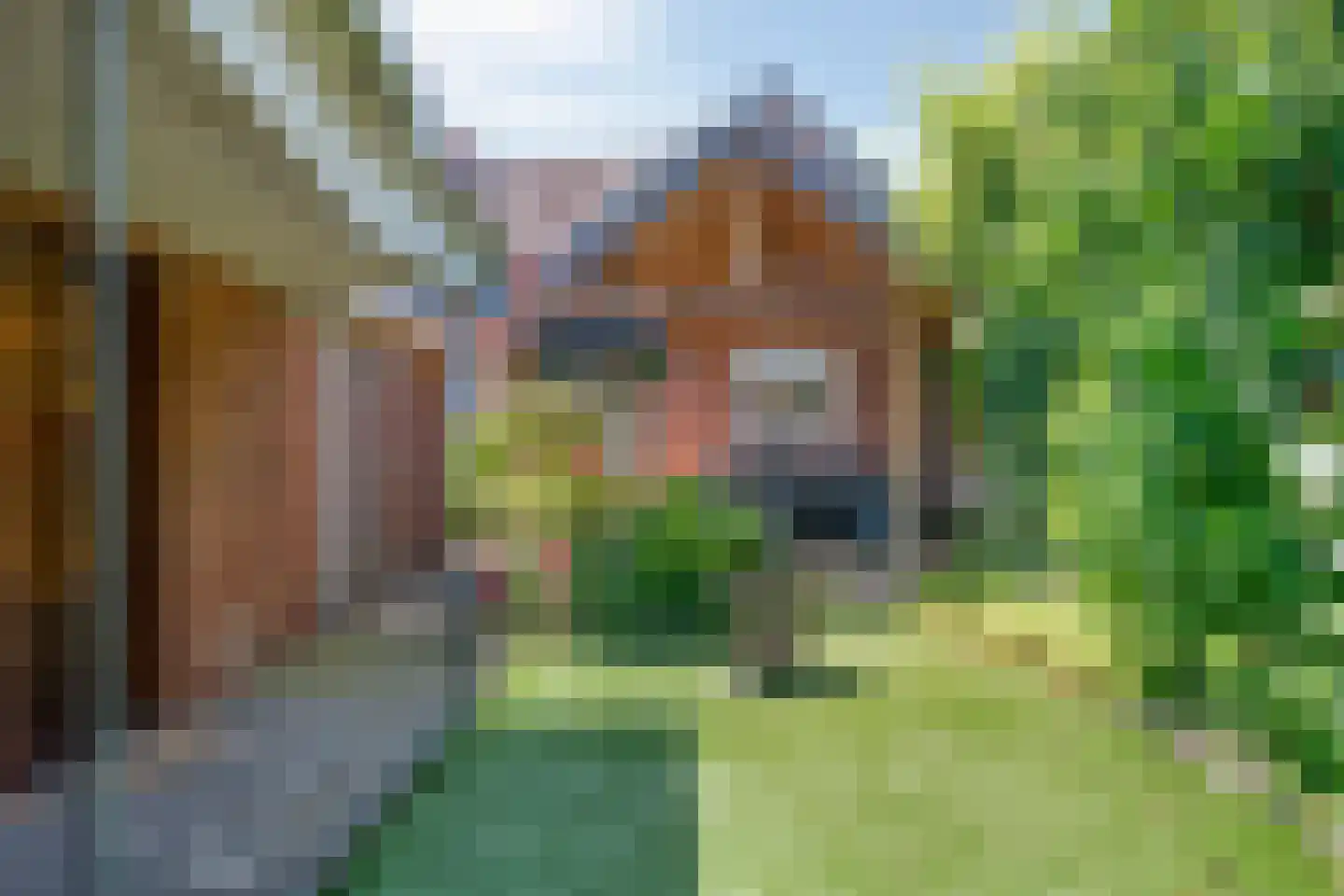 Thorbeckestraat 9 Grevenbicht thumbnail 27