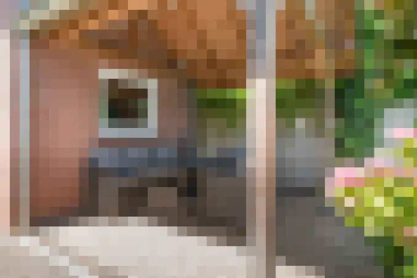 Thorbeckestraat 9 Grevenbicht thumbnail 32