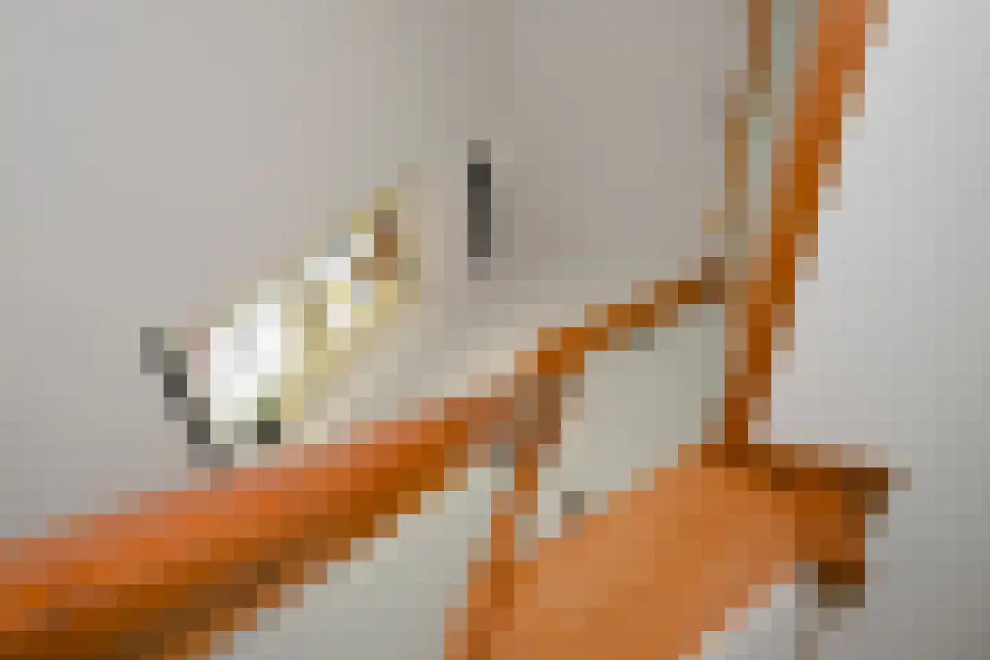 Thorbeckestraat 9 Grevenbicht thumbnail 37