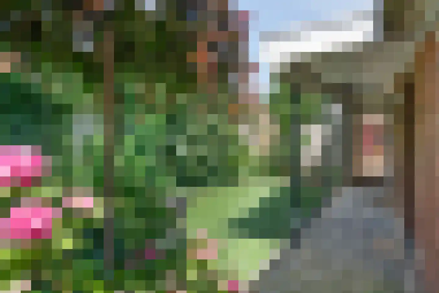 Thorbeckestraat 9 Grevenbicht thumbnail 4