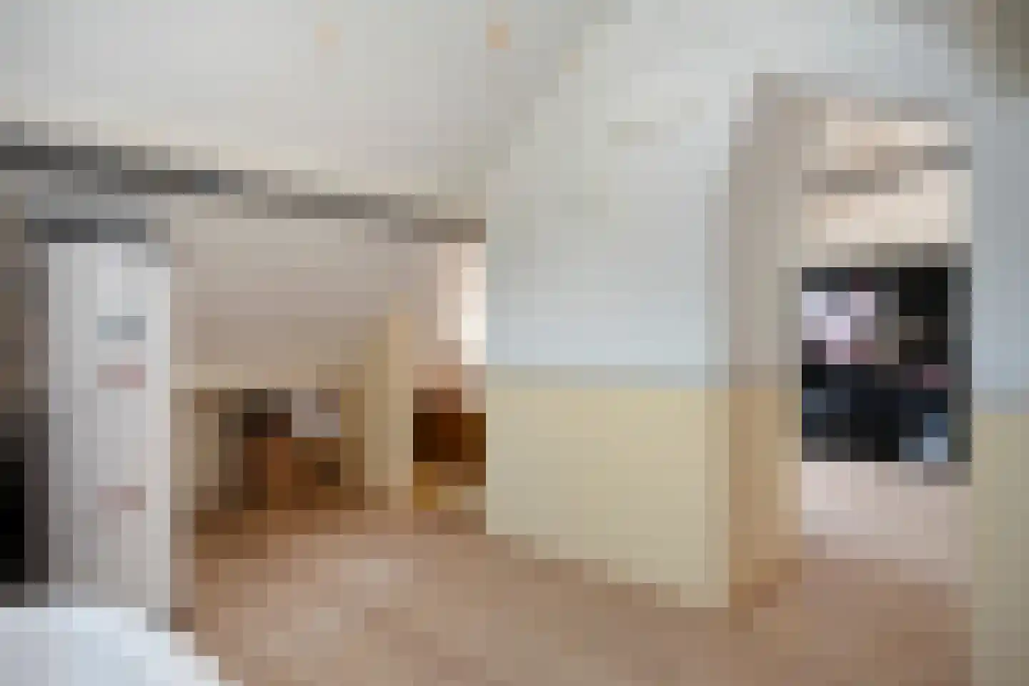Thorbeckestraat 9 Grevenbicht thumbnail 48