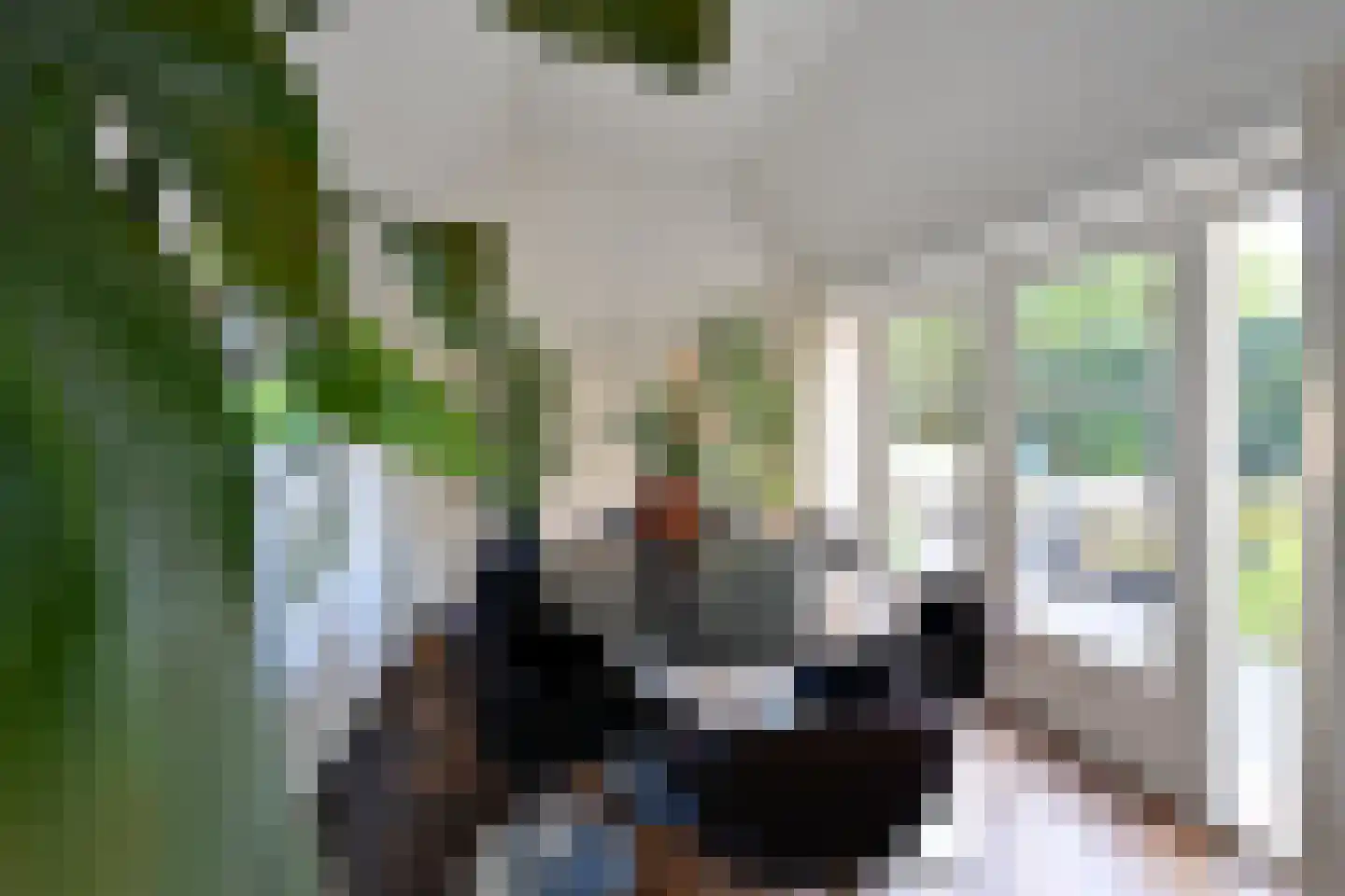 Thorbeckestraat 9 Huizen thumbnail 10