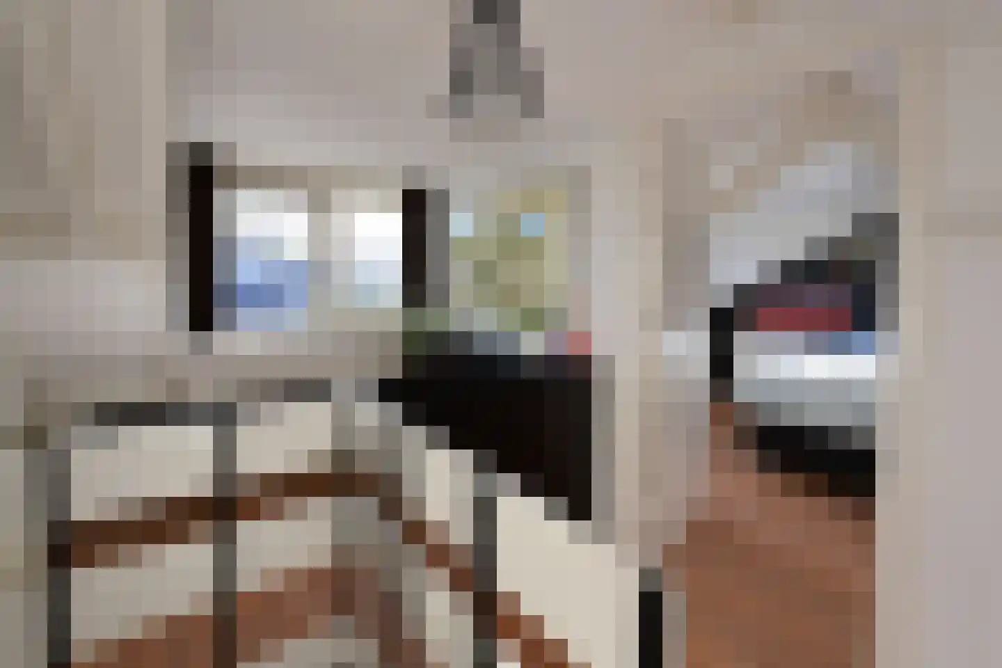 Thorbeckestraat 9 Huizen thumbnail 17