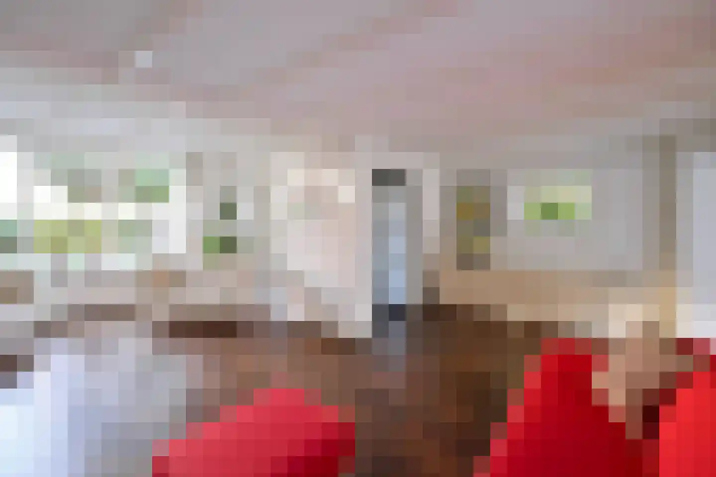 Thorbeckestraat 9 Huizen thumbnail 5