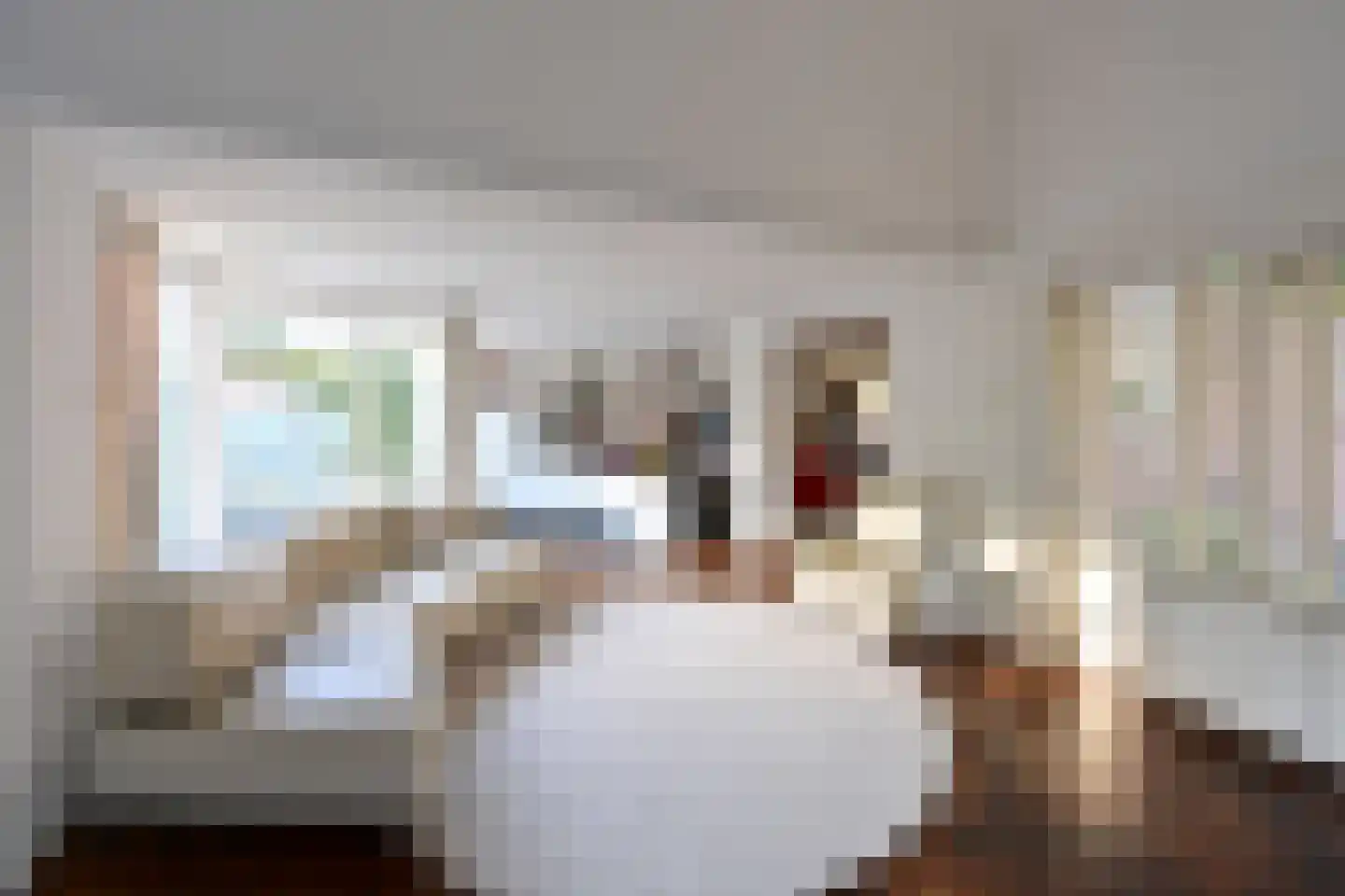 Thorbeckestraat 9 Huizen thumbnail 8