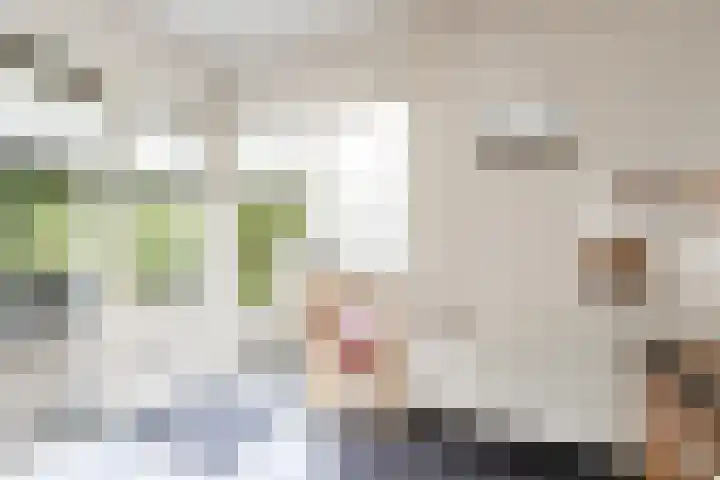 Thorbeckestraat 94 Zaltbommel thumbnail 19