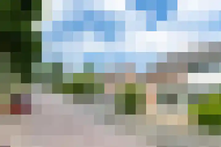 Thorbeckestraat 94 Zaltbommel thumbnail 4
